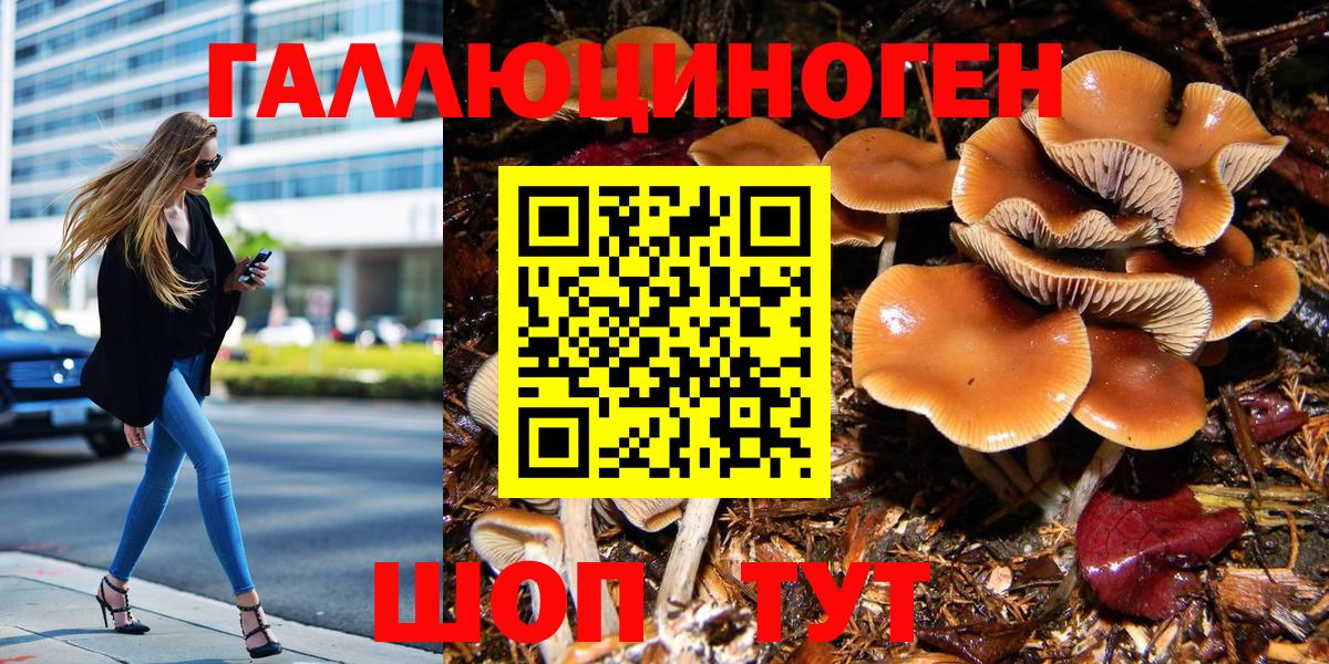 Псилоцибиновые грибы Psilocybe  Вход с VPN  Псилоцибиновые грибы Psilocybe  Стерлитамак 